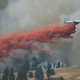 Illustration for article titled The Comprehensive Flight Club Guide To Damn Near Every Firefighting Aircraft
